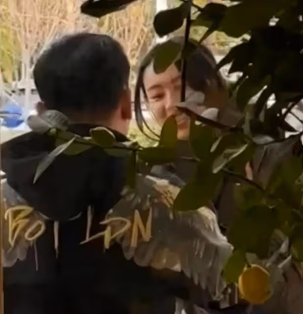36歲梁洛施戀情疑曝光!和內地男友手牽手,對方大9歲離異很帥氣