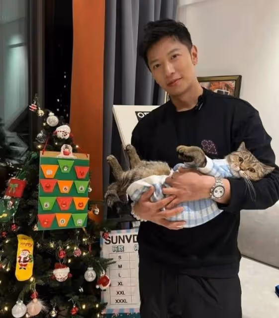 暖男下廚!高鈞賢深夜直播自製美食,圈外女友孕味濃隨時雙喜臨門