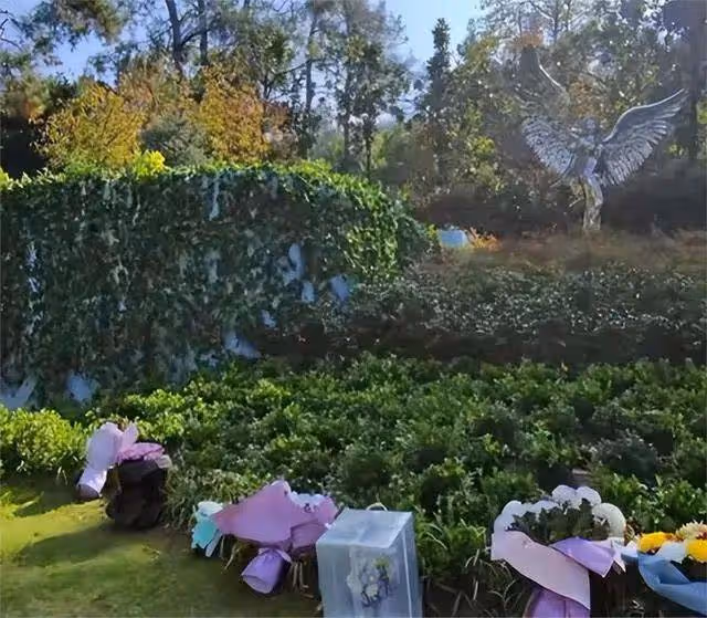 李玟墓地里的雜草被清除!環境比以前更好,粉絲忙去悼念