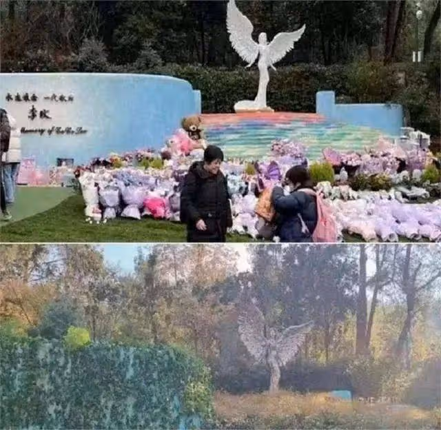 李玟墓地里的雜草被清除!環境比以前更好,粉絲忙去悼念