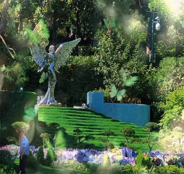 李玟墓地里的雜草被清除!環境比以前更好,粉絲忙去悼念