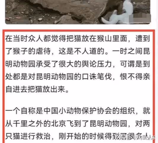劉亦菲捲入漂亮國醜聞!疑似大尺度視頻流出,與亨特吹牛老爹有關