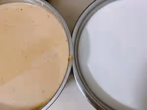 「糕點」零失敗千層糕