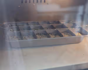 糯米戚風小蛋糕~香香軟軟糯糯的小蛋糕~