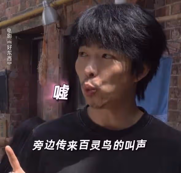 給《好東西》演員排座次，梅婷女兒第5，趙又廷第2，第1名沒爭議