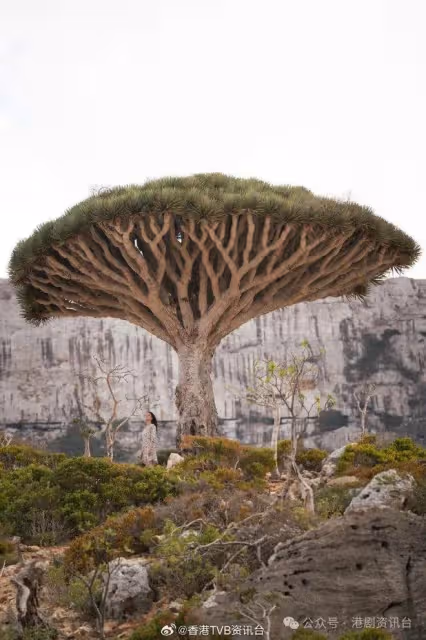 蔡思貝最大恐懼：不被觀眾需要 《與天地對話》赤裸剖白眼淚相隨