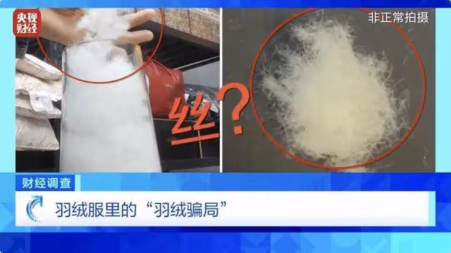 央視曝光「羽絨騙局」!你的孩子可能正在穿