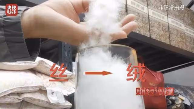 央視曝光「羽絨騙局」!你的孩子可能正在穿