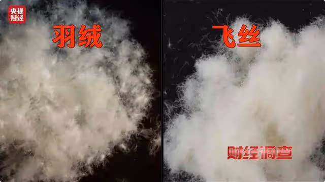 央視曝光「羽絨騙局」!你的孩子可能正在穿
