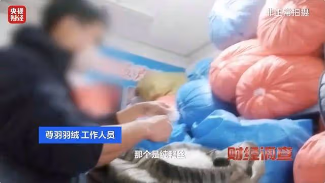 央視曝光「羽絨騙局」!你的孩子可能正在穿