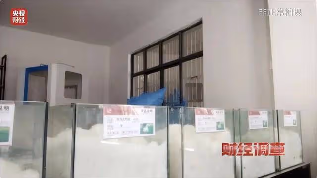央視曝光「羽絨騙局」！你的孩子可能正在穿