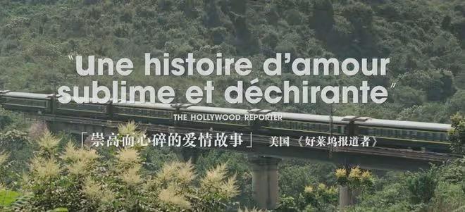 籌備22年,票房慘敗,2024年賀歲檔電影圈最大慘案誕生了!