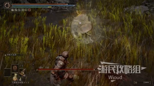 《艾爾登法環》落葉丹恩位置及打法分享