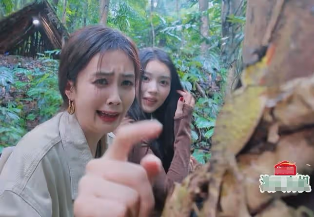 新《奔跑吧》首播滿屏尬,全程尬笑掩蓋遊戲無聊,李晨成最大敗筆