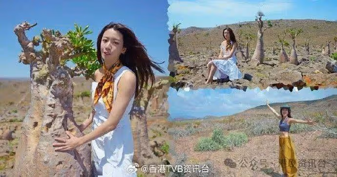TVB視後自揭1年沒拍劇!曾壓力大致幻覺幻聽