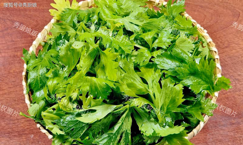 這菜全身是寶,很多人只吃根莖,其實葉子才是寶!鮮嫩營養正當季