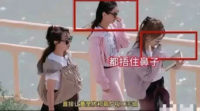 曝麥琳和黃聖依打架、坐葛夕身上,菸癮大到熏人,猛料遠不止這些