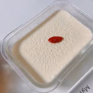 消耗蛋白：懶人版雙皮奶