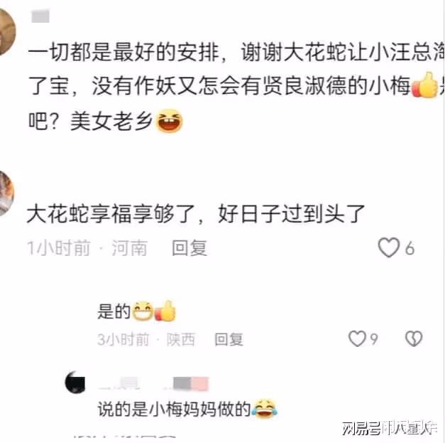 變相催生?汪小菲夫婦再回台北!小楊阿姨曬汪小菲丈母娘做滋補濃湯