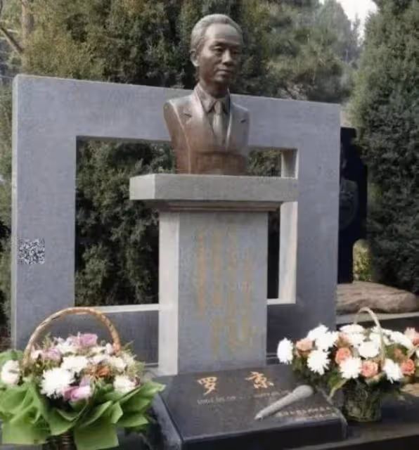 羅京去世14年，妻子改嫁富商，母親至今不知，3字遺言令人深思