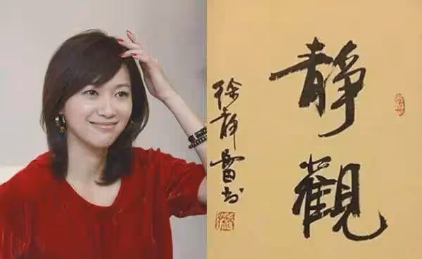 徐靜蕾驚現孕味?50歲女星的生活新篇章引發熱議