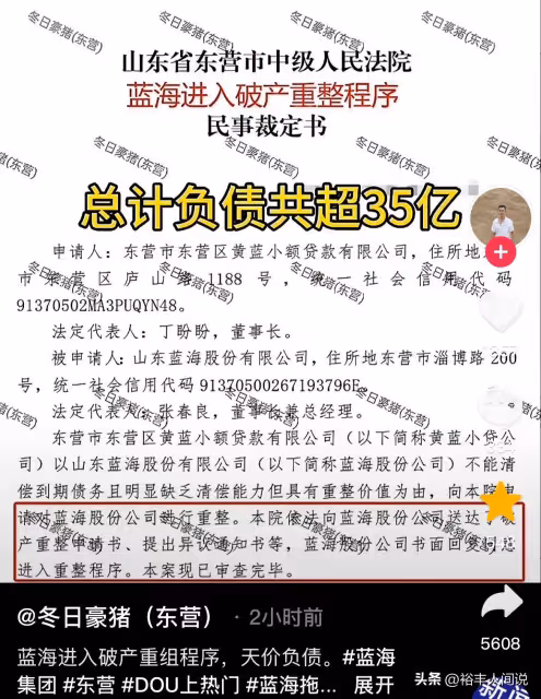 曝藍海進入破產重整程序!負債超35億,網紅副董安英已停更一年多