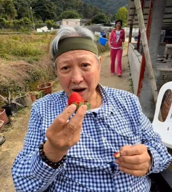 洪金寶蔡瀾聚餐,斷崖老瘦顯著,高麗虹風采依舊
