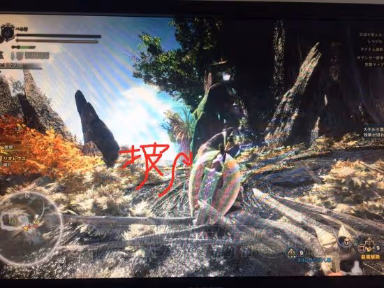 《怪物獵人:世界》飛龍的蛋在哪