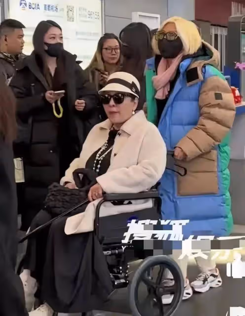 李小冉、向太、劉曉慶、蔡明現身,李小冉好美,劉曉慶打扮顯年輕