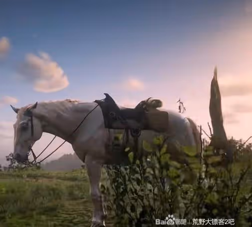 《荒野大鏢客2》部分馬匹獲取地點