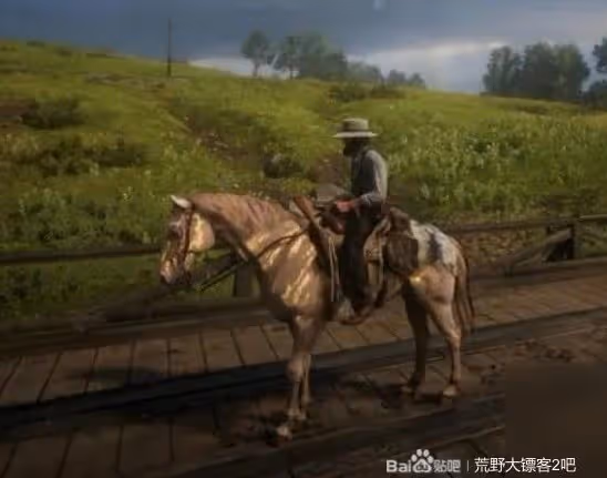 《荒野大鏢客2》部分馬匹獲取地點