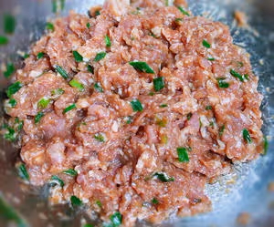 鮮肉餅