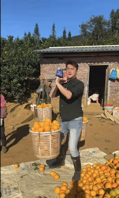 TVB前知名小生做水果生意,自曝包下兩個果園,給工人開高額工資