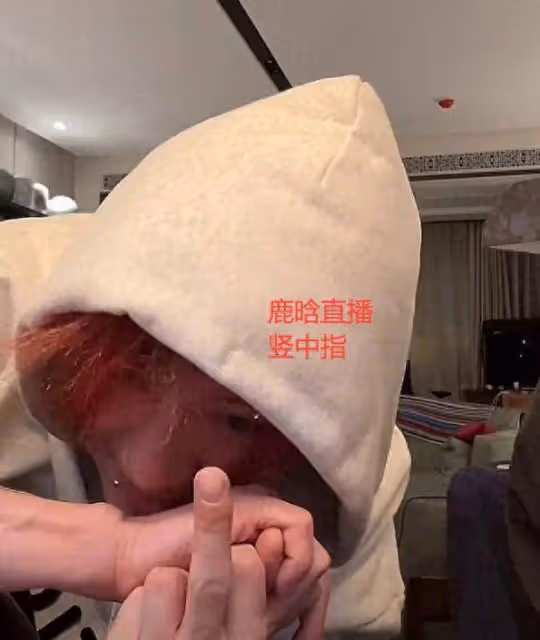 鹿晗凌晨開直播罵人,豎中指說髒話,更多內情曝光,網友熱議