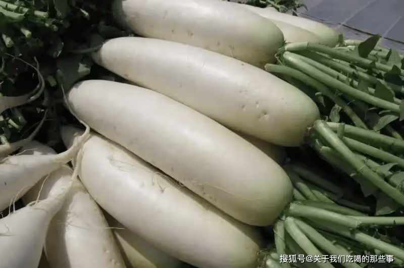 買白蘿蔔,別只看價格!看準「5處」,蘿蔔好吃不糠心,不吃虧