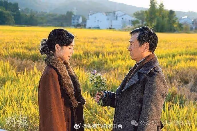 王浩信陳山聰各兩劇入圍爭視帝!張曦雯3劇角逐視後