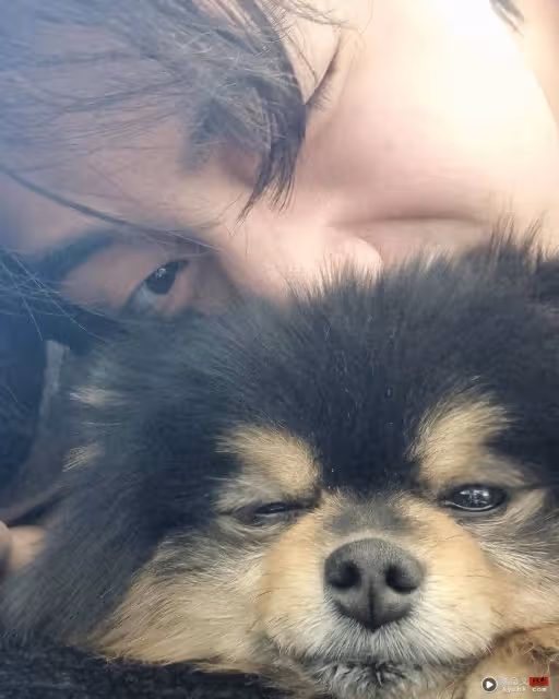 BTS V 愛犬離世!曬珍藏畫面:煤炭去小狗星球旅遊