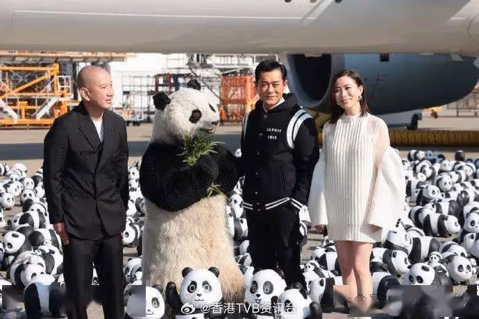 古天樂難忘近距離喂飼熊貓!佘詩曼撼贏周迅奪新加坡視後
