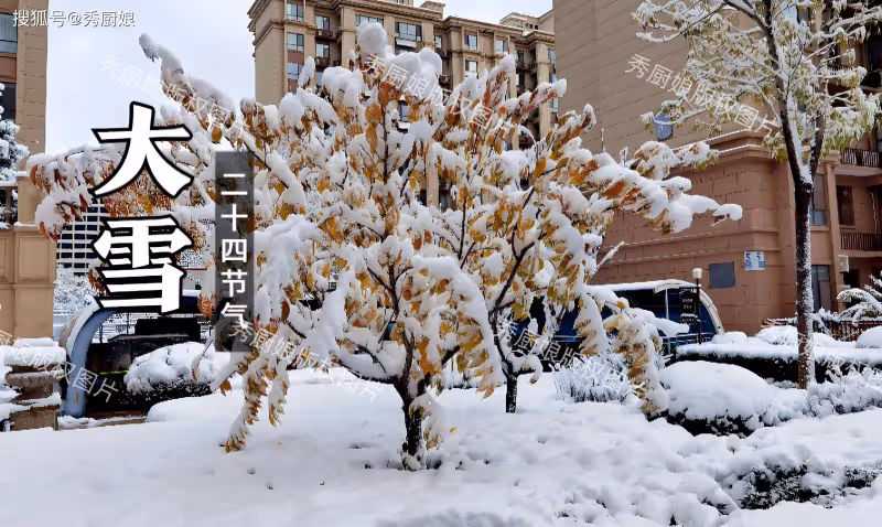 「大雪不補,來年受苦」12月6日大雪,再忙別忘「吃3樣,做2事」