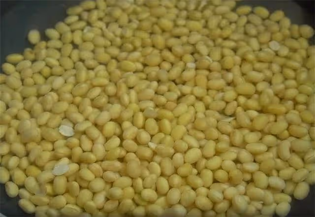 冬天要多吃蘿蔔,加一碗黃豆,不炒不燉不油炸,一次做6斤不夠吃