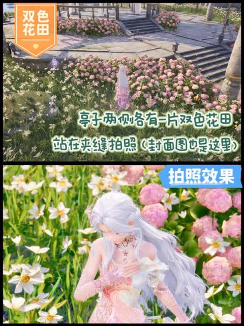《無限暖暖》天鵝羽亭拍照機位參考