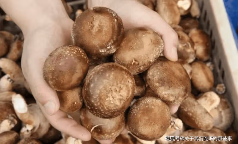 買香菇時,挑「大的」還是挑「小的」?差別挺大,別再買錯了