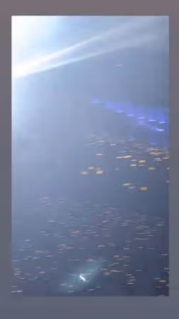 張惠妹唱〈三天三夜〉謝盈萱就坐前面!PO「阿妹座位區視角」嗨翻