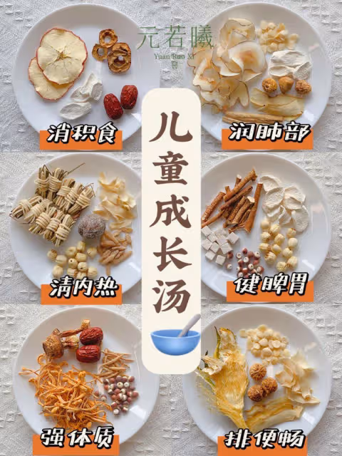 廣東媽媽經常會給孩子煲的湯水系列(2)