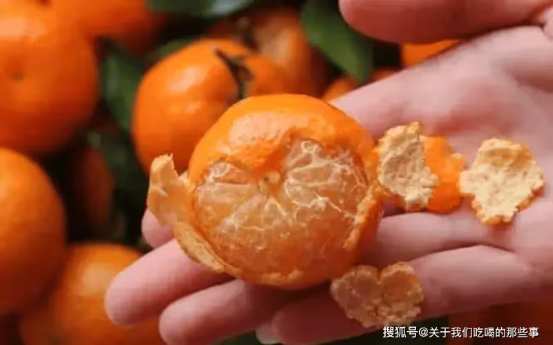 買砂糖橘,挑帶葉的還是不帶葉的?看準「3處」,砂糖橘鮮甜多汁