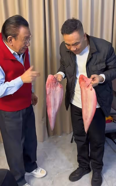 楊議親赴北京看望二哥侯耀華,親自下廚顯親密,二人和好如初
