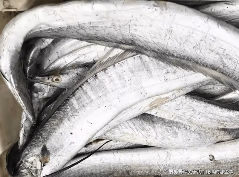 買帶魚,碰到這「4種」帶魚轉身就走,再便宜也別買,白花冤枉錢
