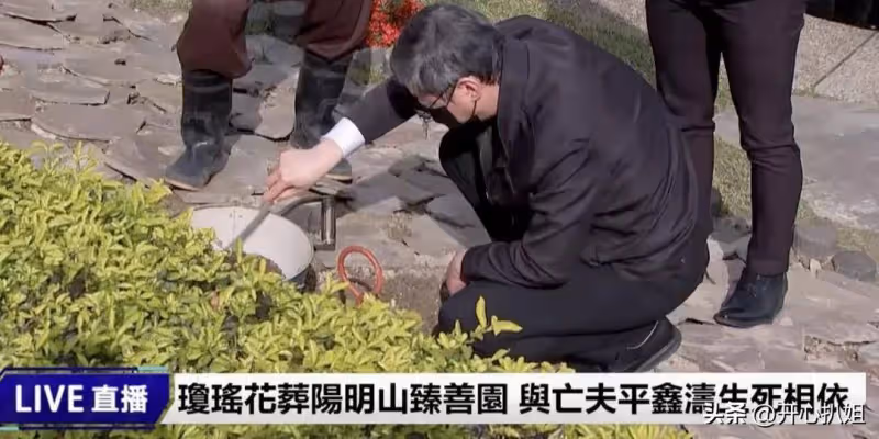 瓊瑤葬禮這天,平鑫濤子女的公司發了一張圖片搞內涵,引全網憤怒