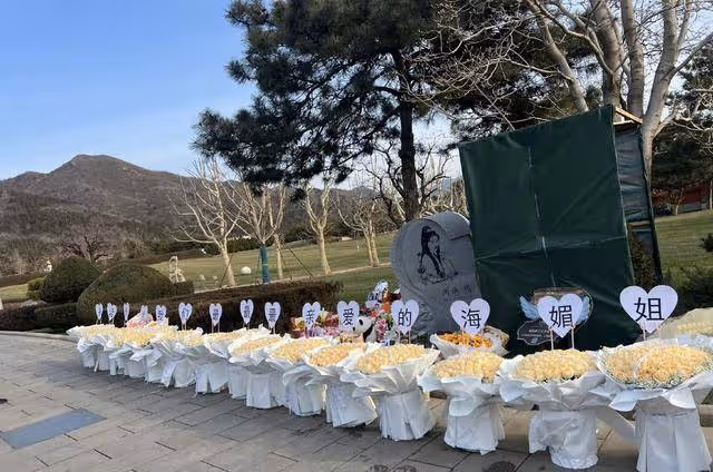 想念!港星周海媚離世一周年墓園成花海,兩愛犬墓園團聚眼神哀傷