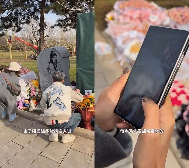 想念!港星周海媚離世一周年墓園成花海,兩愛犬墓園團聚眼神哀傷